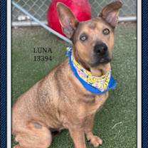 Thumbnail photo of LUNA #1