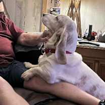 Thumbnail photo of SCOUT #2