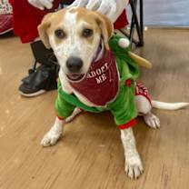 Thumbnail photo of R - RIVER #2