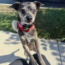 Thumbnail photo of Blanche #3