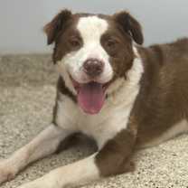 Thumbnail photo of Jax #4