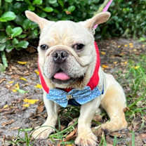 Thumbnail photo of ISABELLA #2