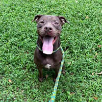 Thumbnail photo of Roger #1