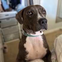 Thumbnail photo of James #2