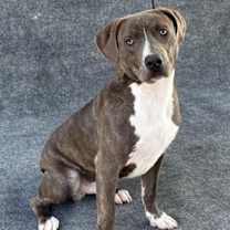 Thumbnail photo of James #3