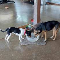 Thumbnail photo of Ali #4