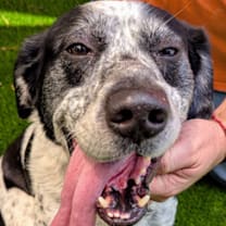 Thumbnail photo of Spot #2