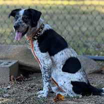 Thumbnail photo of Spot #3