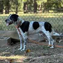 Thumbnail photo of Spot #4