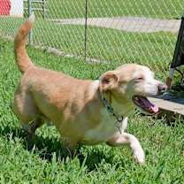 Thumbnail photo of Rio #1