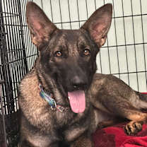 Thumbnail photo of Valentina #1