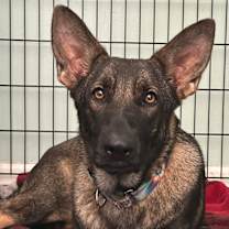 Thumbnail photo of Valentina #2