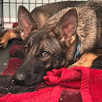 Thumbnail photo of Valentina #3