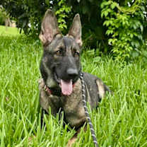 Thumbnail photo of Valentina #4