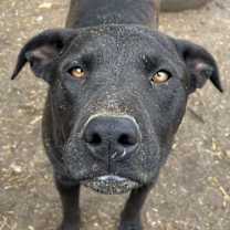 Thumbnail photo of Max #1