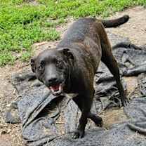 Thumbnail photo of Max #2