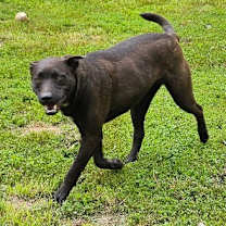 Thumbnail photo of Max #3