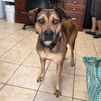 Thumbnail photo of Truly #1