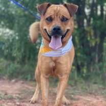 Thumbnail photo of Serena #1