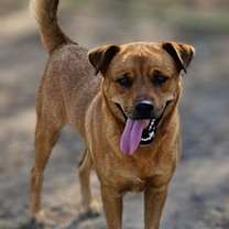 Thumbnail photo of Serena #2