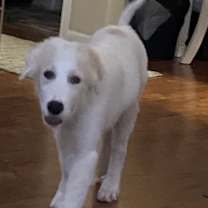 Thumbnail photo of Spook #2