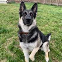 Thumbnail photo of Katy #4