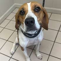 Thumbnail photo of Dot #1