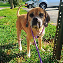 Thumbnail photo of Sebastian #2