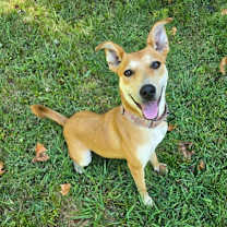 Thumbnail photo of Elene #1