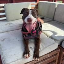 Thumbnail photo of Peak #1