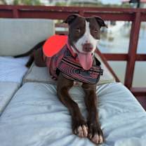 Thumbnail photo of Peak #2