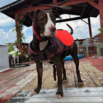 Thumbnail photo of Peak #3