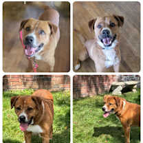 Thumbnail photo of Bear-Meet me? #3