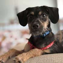 Thumbnail photo of Bo #2