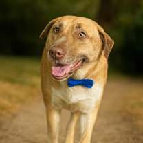 Thumbnail photo of Ashuka #2