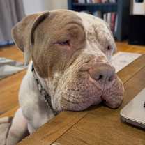 Thumbnail photo of Winnie #1