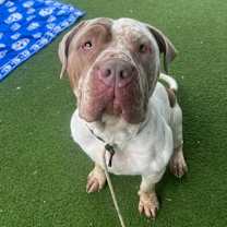 Thumbnail photo of Winnie #2