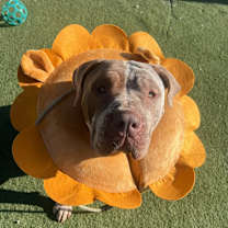 Thumbnail photo of Winnie #3