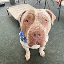 Thumbnail photo of Winnie #4