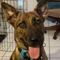 Thumbnail photo of Layla #1