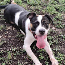 Thumbnail photo of Chelsea #4