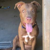 Thumbnail photo of Matilda #1