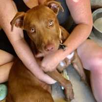 Thumbnail photo of Matilda #3