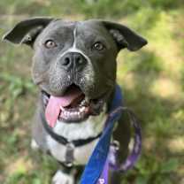 Thumbnail photo of Zander #4