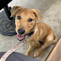 Thumbnail photo of Ruby #3