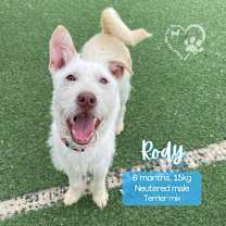 Thumbnail photo of Rody #1