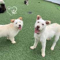 Thumbnail photo of Rody #2