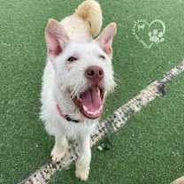 Thumbnail photo of Rody #3