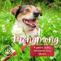 Thumbnail photo of MongMong- Foster Hold! #1