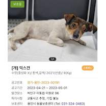 Thumbnail photo of MongMong- Foster Hold! #2